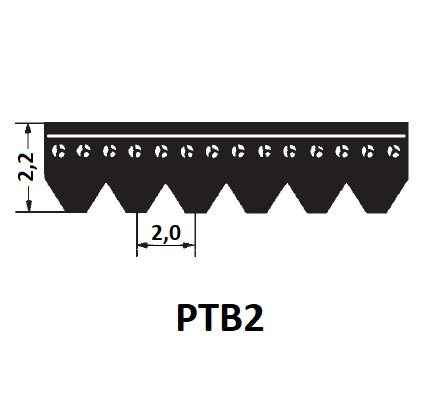 Pasy wielorowkowe PTB2